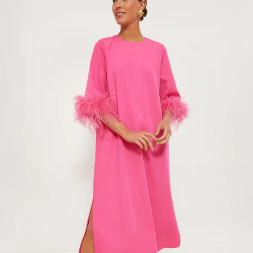 Tuckernuck Pink Feather Sleeve Dress